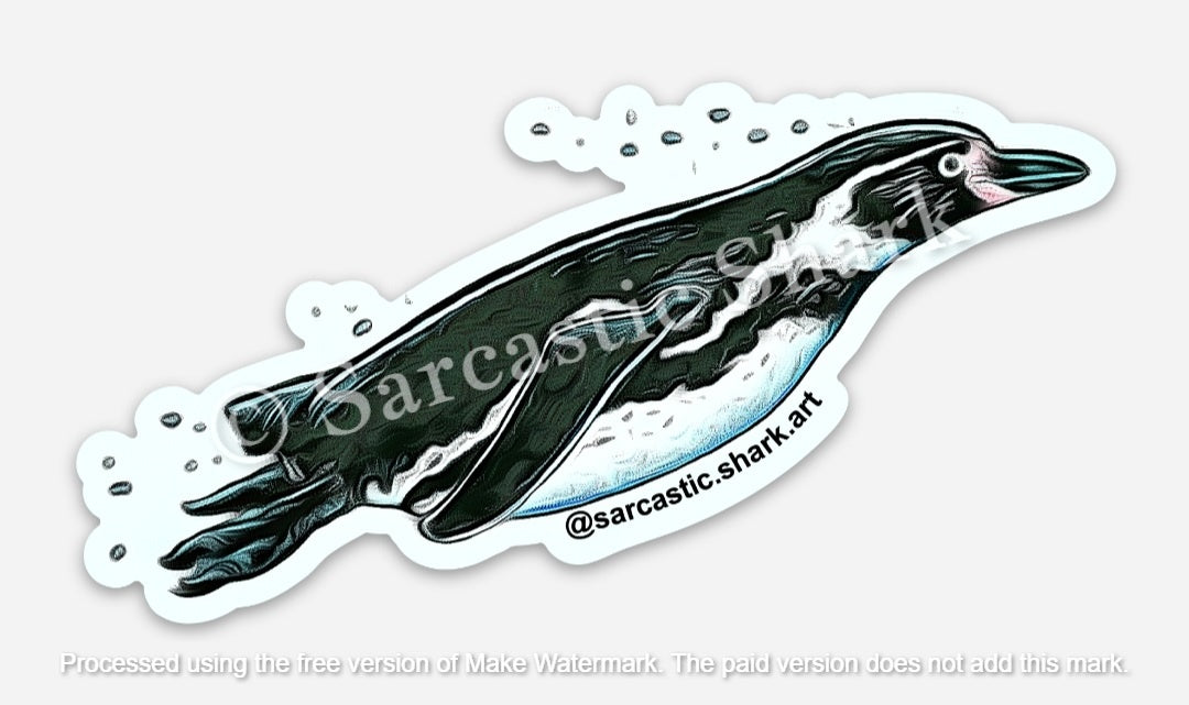 Illustrated color sticker of an African Penguin swimming through water blowing bubbles