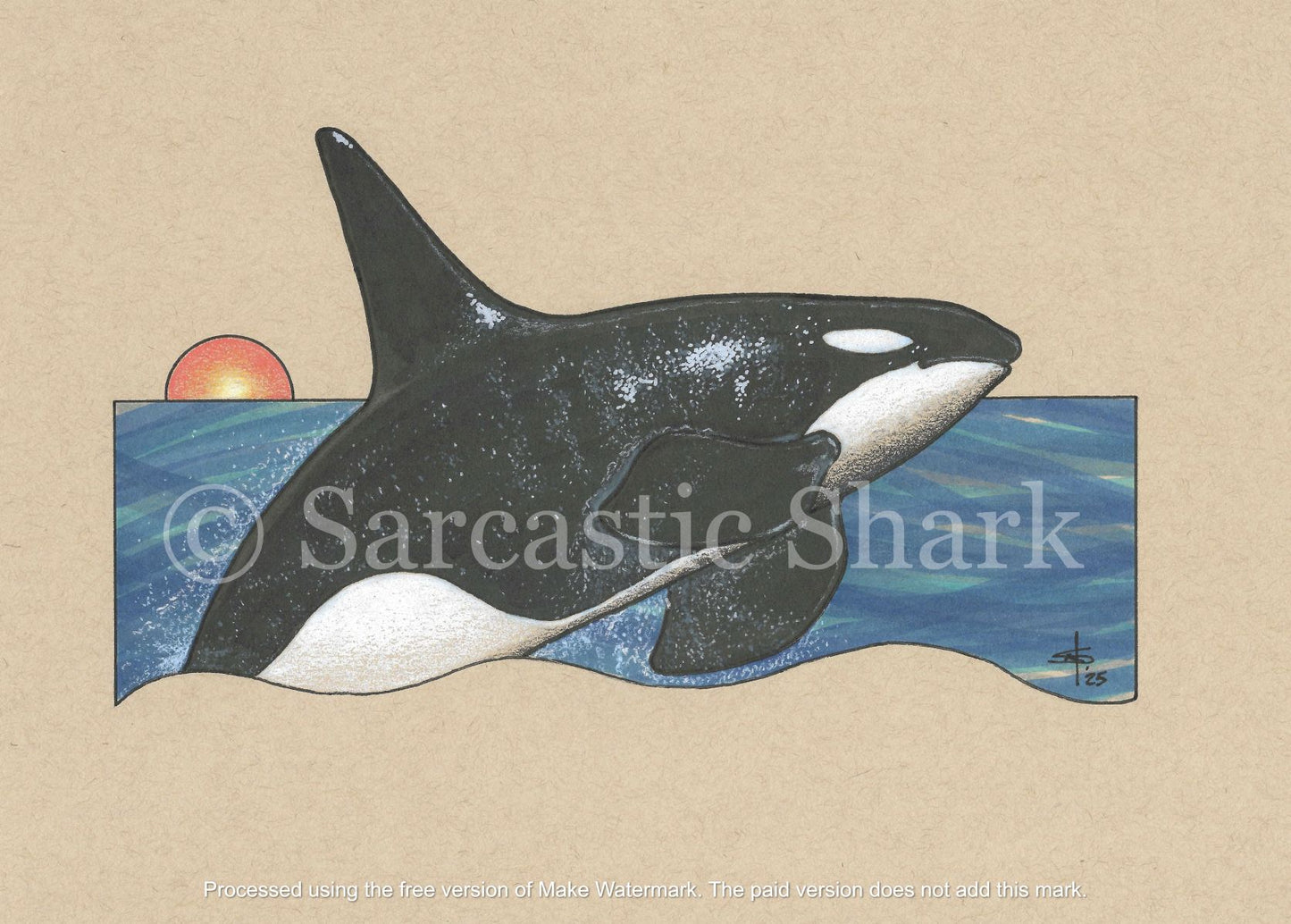 Orca whale in water with sunset on beige background