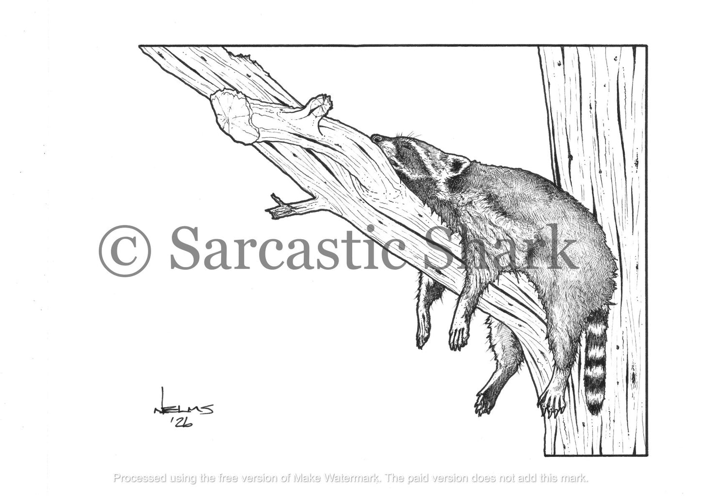 Black and white illustration of a raccoon snoozing in a tree