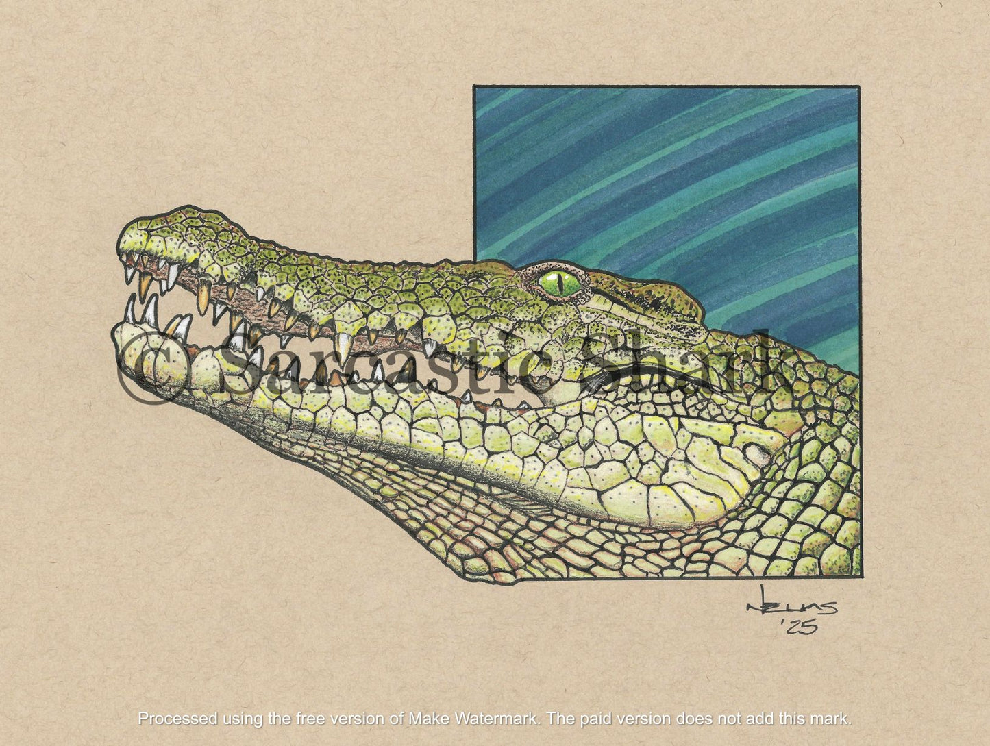 Saltwater Crocodile Illustration Full Color High Quality Print
