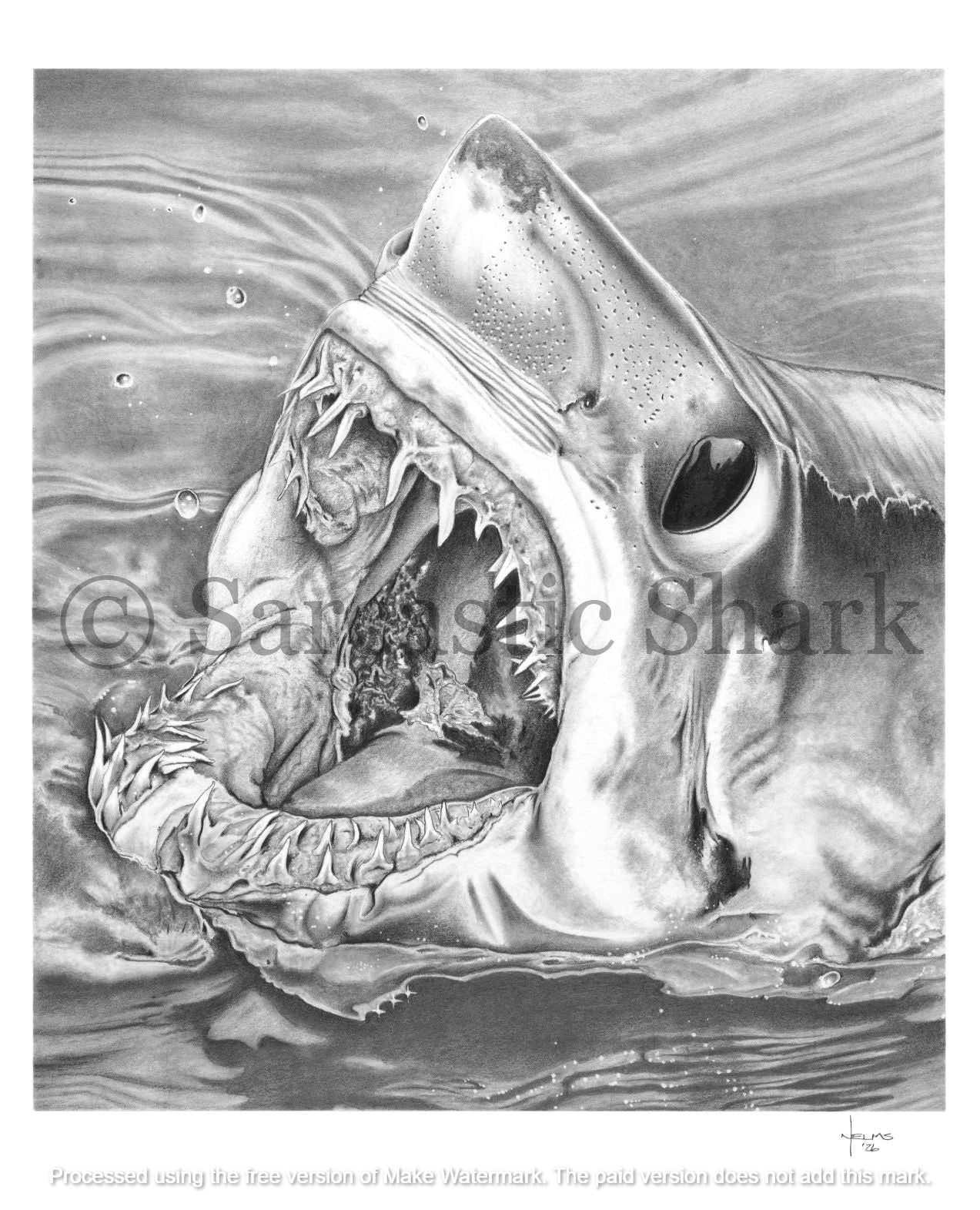 A black and white pencil-style illustration of a Shortfin Mako shark (Isurus oxyrinchus) with its mouth wide open, emerging from water. The artwork fills most of the frame.