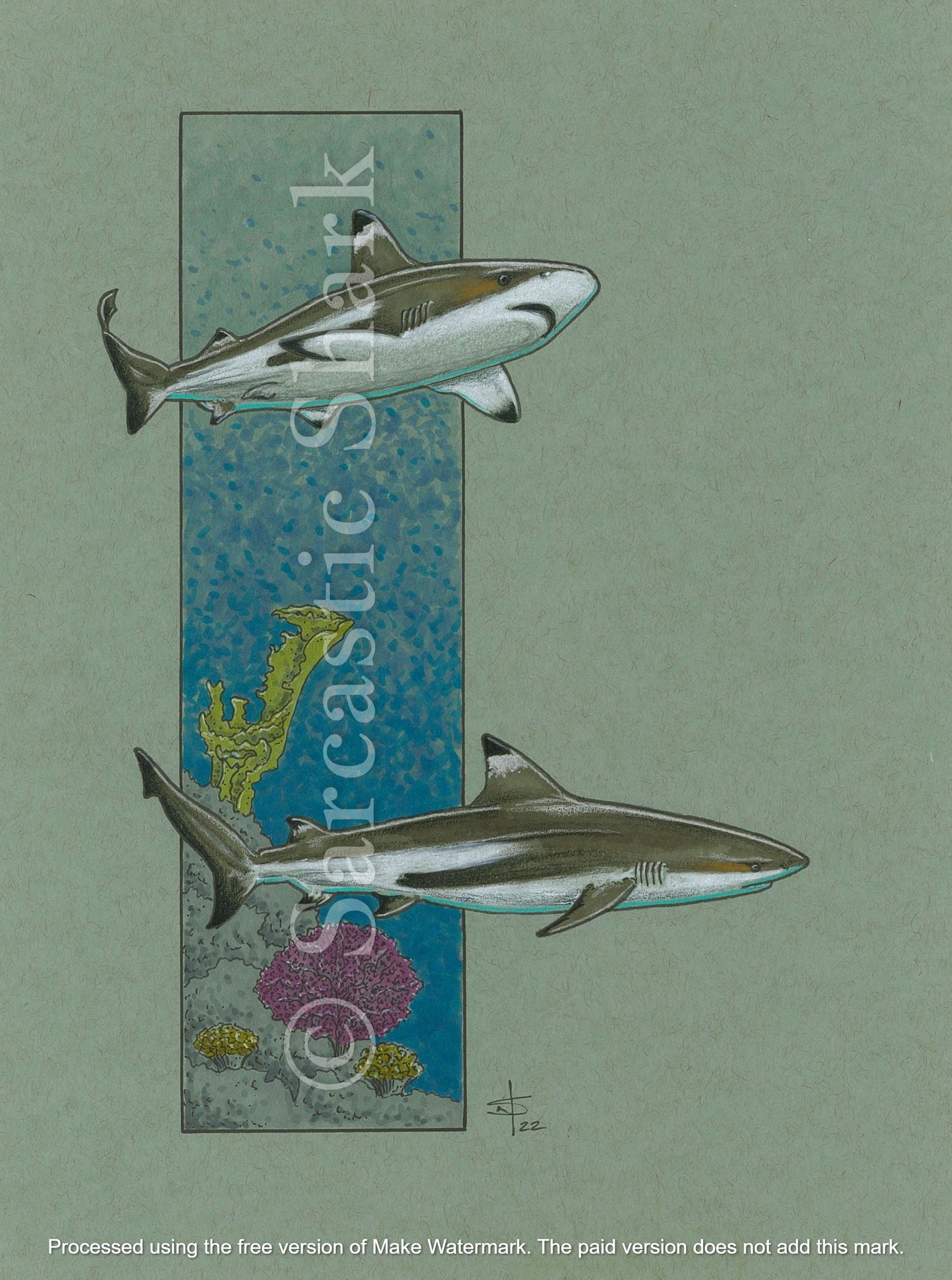 Prismacolor and marker illustration of two blacktip reef sharks swimming with full color ocean background column showing coral