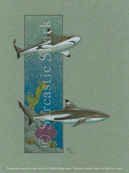 Prismacolor and marker illustration of two blacktip reef sharks swimming with full color ocean background column showing coral