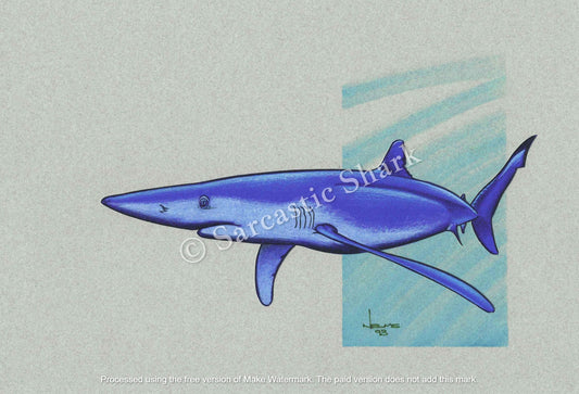 Prismacolor pencil illustration of a Blue Shark on Pantone paper with marker background on gray Canson paper