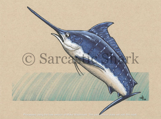 Illustration of a Pacific Blue marlin on a tan background