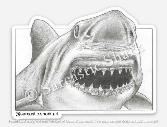 Black and white illustrated sticker of a Great White Shark (Carcharodon carcharias) coming at you with jaws open and teeth showing