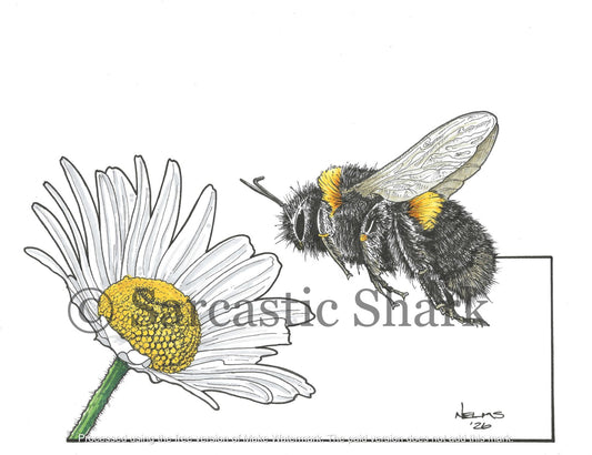 Illustration of a bumblebee approaching a flower.