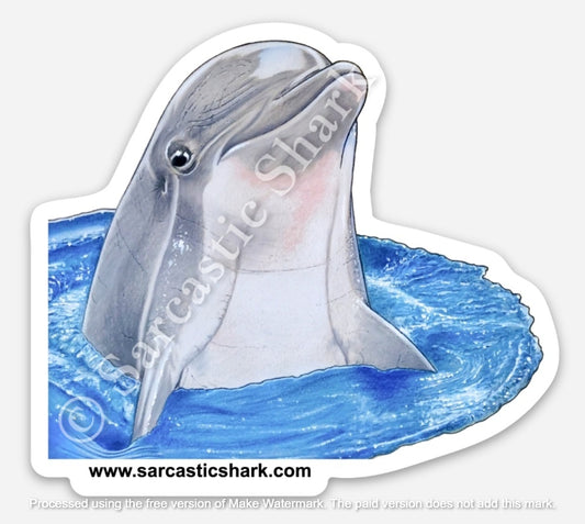 Illustrated color sticker of a dolphin poking his head out of the water