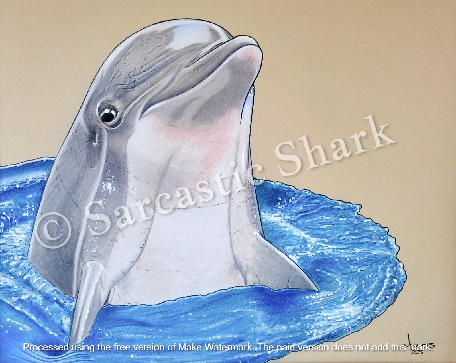 Full color pastel and Prismacolor pencil illustration of a dolphin poking his head out of the water on tan paper