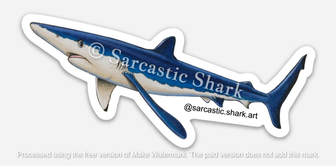 Illustrated full color sticker of a Blue shark swimming