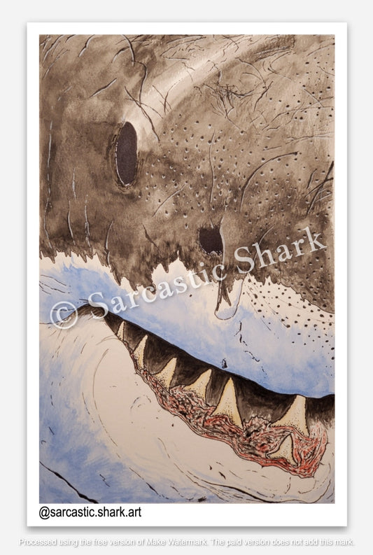 Illustrated color sticker of a closeup view of a Great White Shark (Carcharodon carcharias) showing its teeth and scars