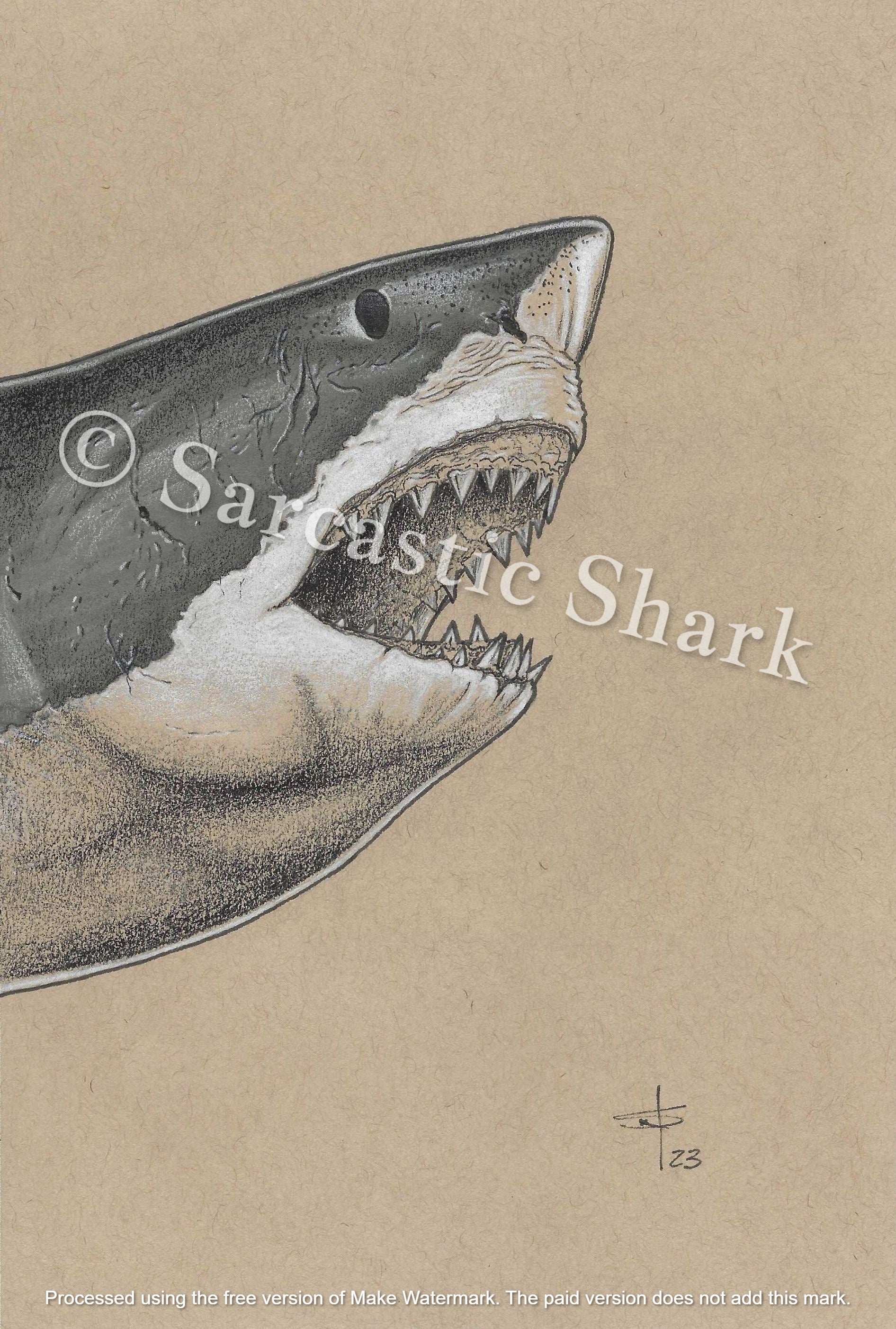 Full color Prismacolor pencil and marker illustration of a Great White Shark (Carcharodon carcharias) with open jaws on tan paper