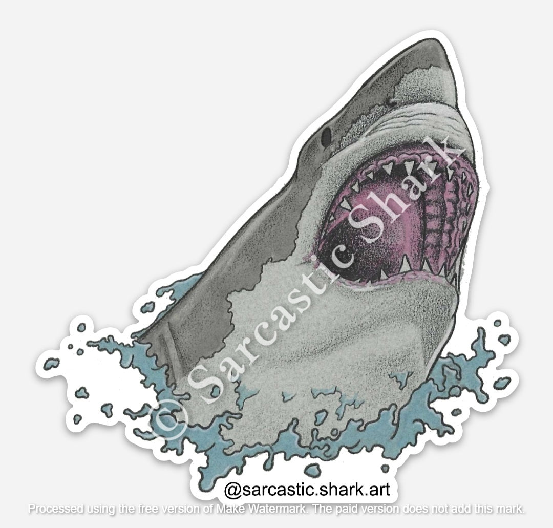 Illustrated color sticker of Great White Shark (Carcharodon carcharias) breaching the water with jaws open and teeth showing