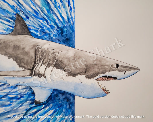 Great White Shark Downward Watercolor Original Artwork. Watercolor illustration of a Great White Shark in front of blue abstract background on cold press paper.