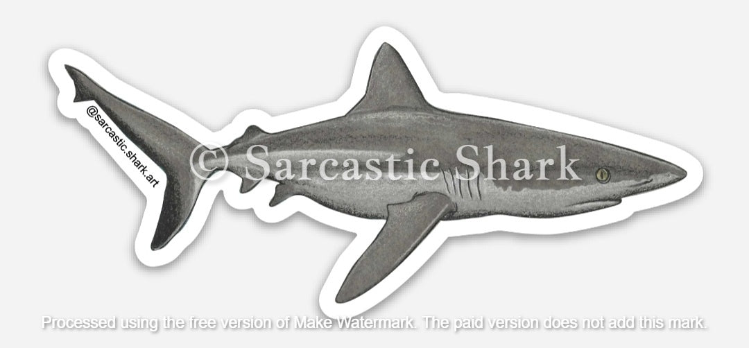 Grey Reef Shark 001 Full Color Vinyl Sticker