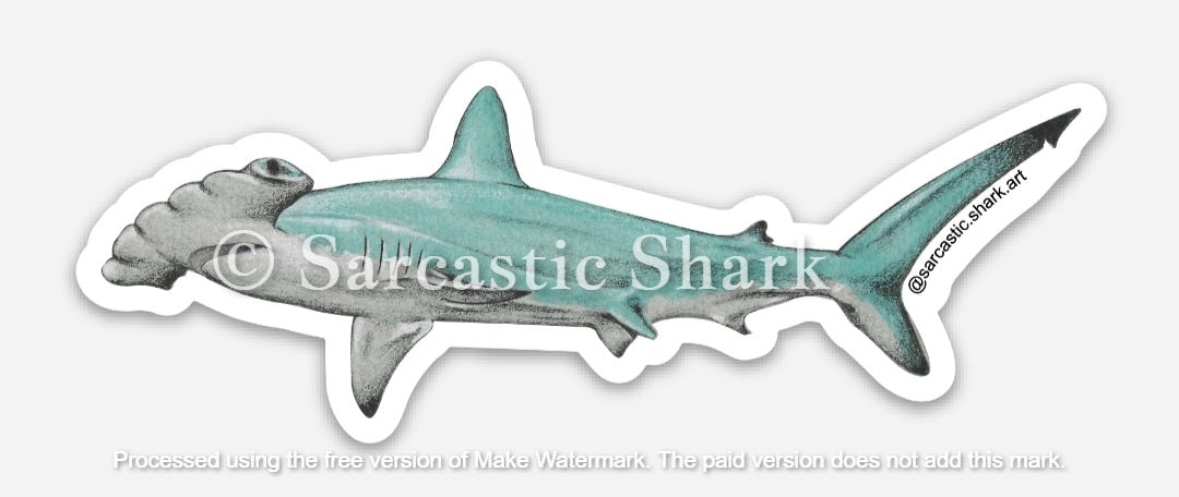 Illustrated color sticker of Hammerhead Shark swimming