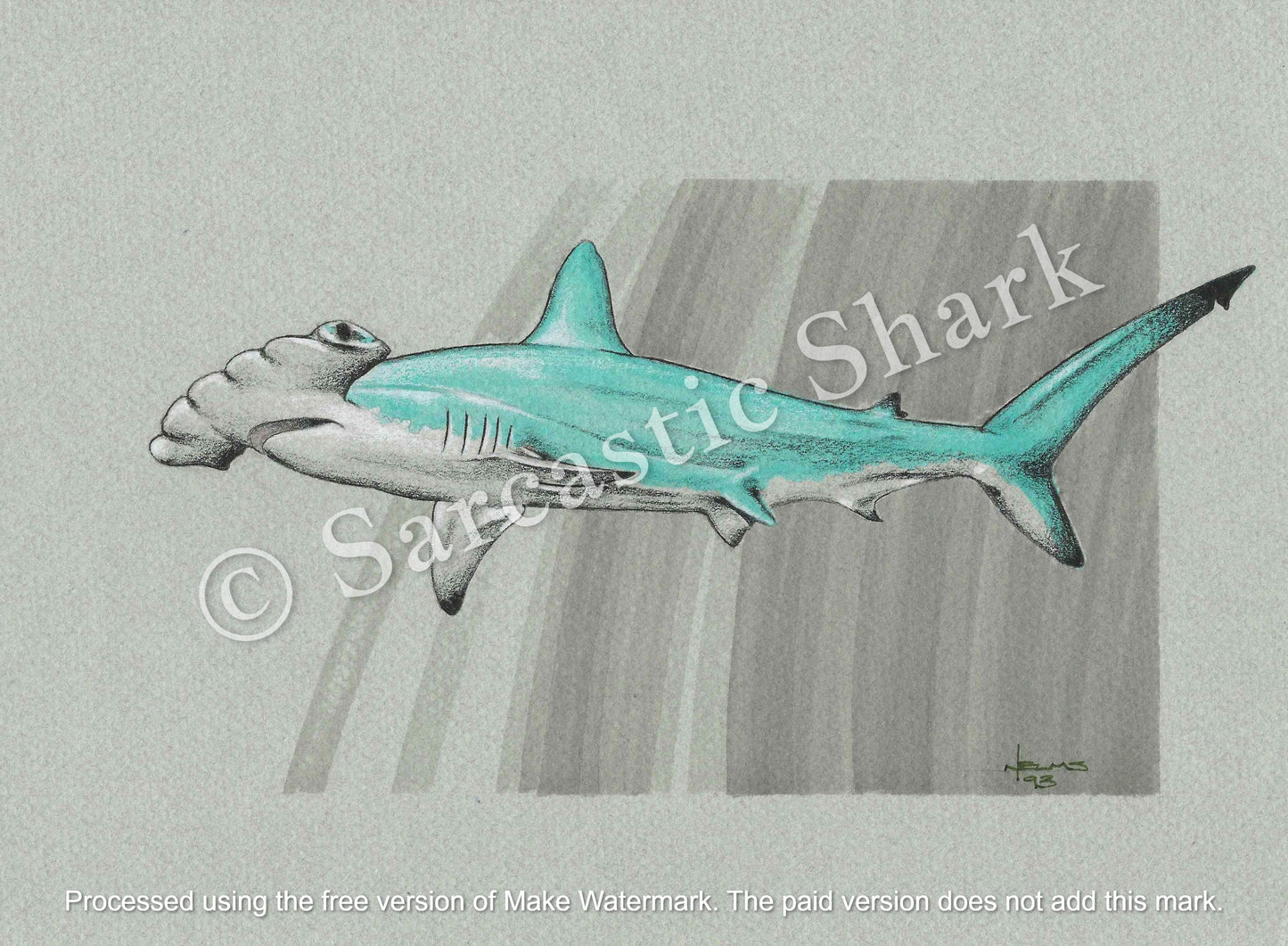 Full color illustration of Hammerhead Shark swimming in front of gray graphic background on gray paper