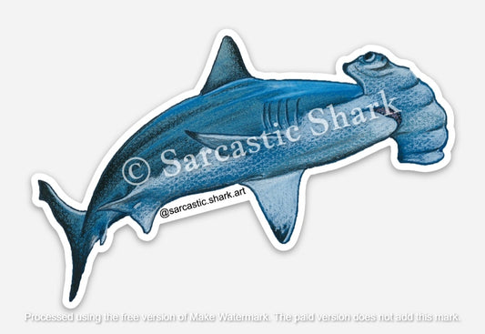 Illustrated color sticker of Hammerhead Shark with soft blue coloring