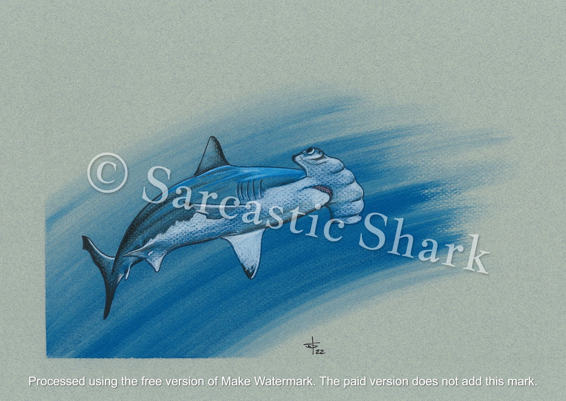 Prismacolor pencil and pastel illustration of a Hammerhead Shark swimming in front of blue graphic background on light gray paper