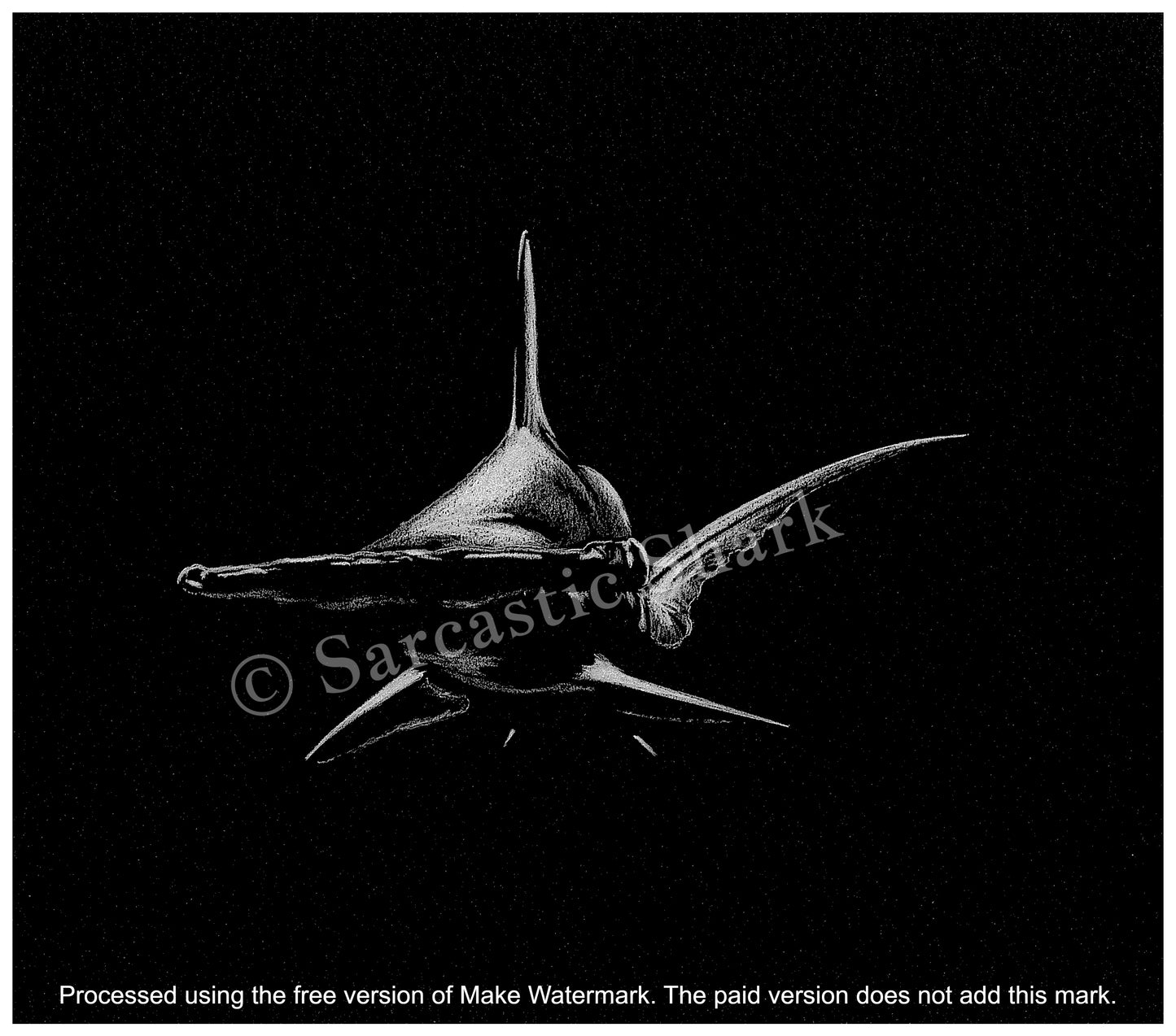 Monochrome illustration of Hammerhead Shark  swimming on black paper