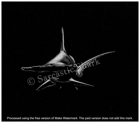 Monochrome illustration of Hammerhead Shark  swimming on black paper