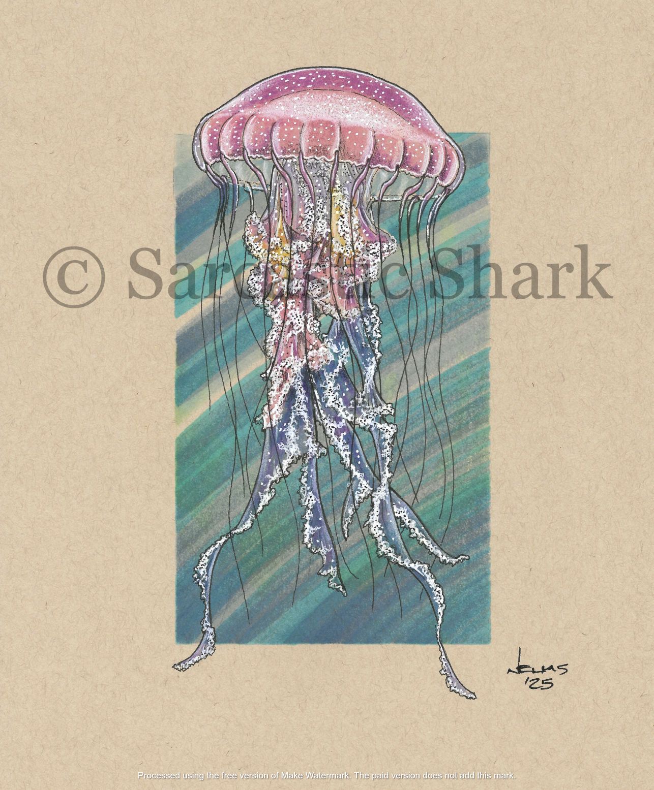 Colorful jellyfish illustration on a beige background