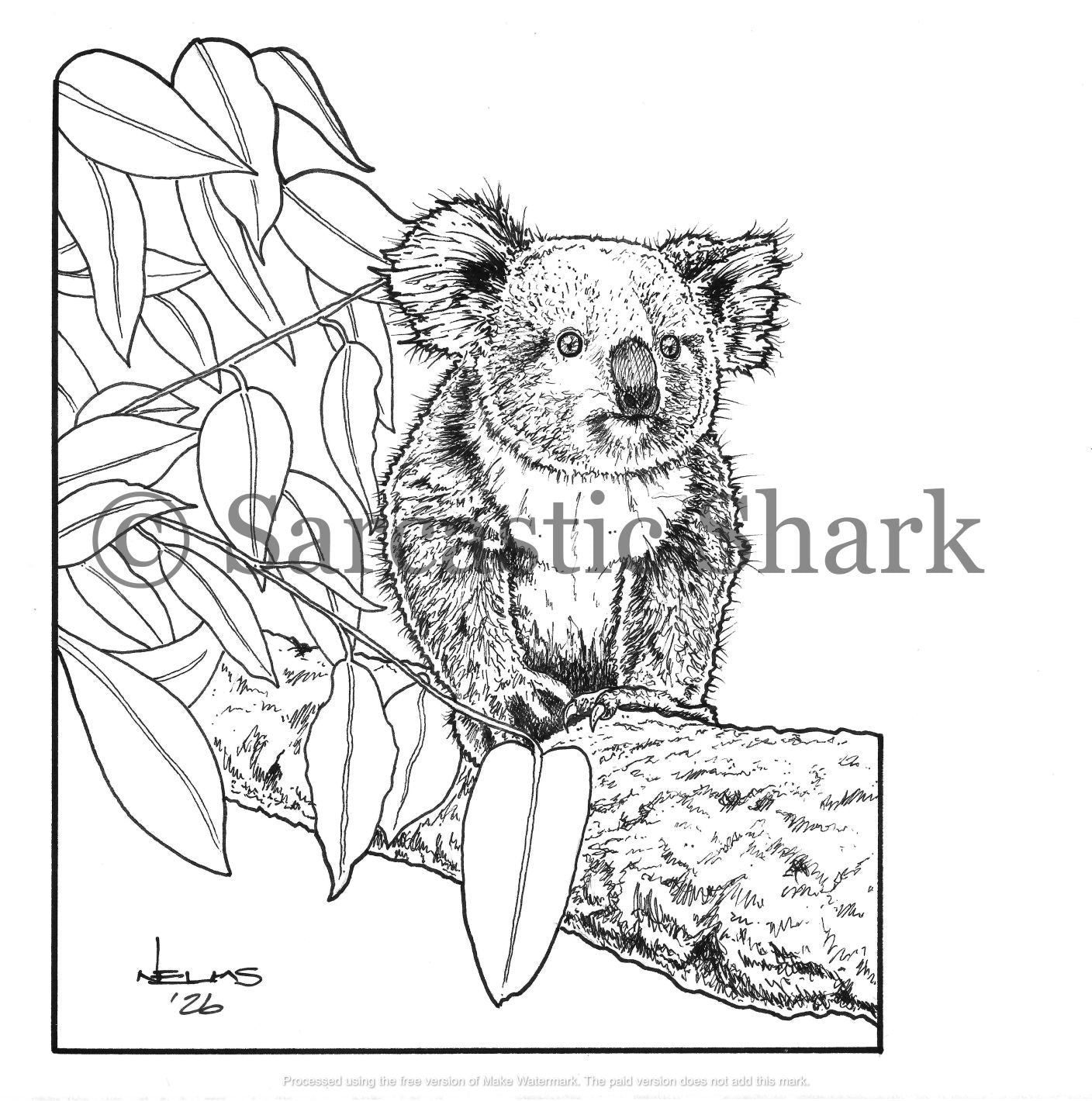 Black and white illustration of a koala sitting on eucalyptus tree
