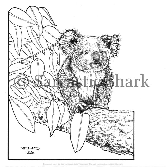 Black and white illustration of a koala sitting on eucalyptus tree