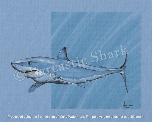 Prismacolor pencil and marker illustration of a Mako Shark swimming in front of a blue graphic background on blue Canson paper