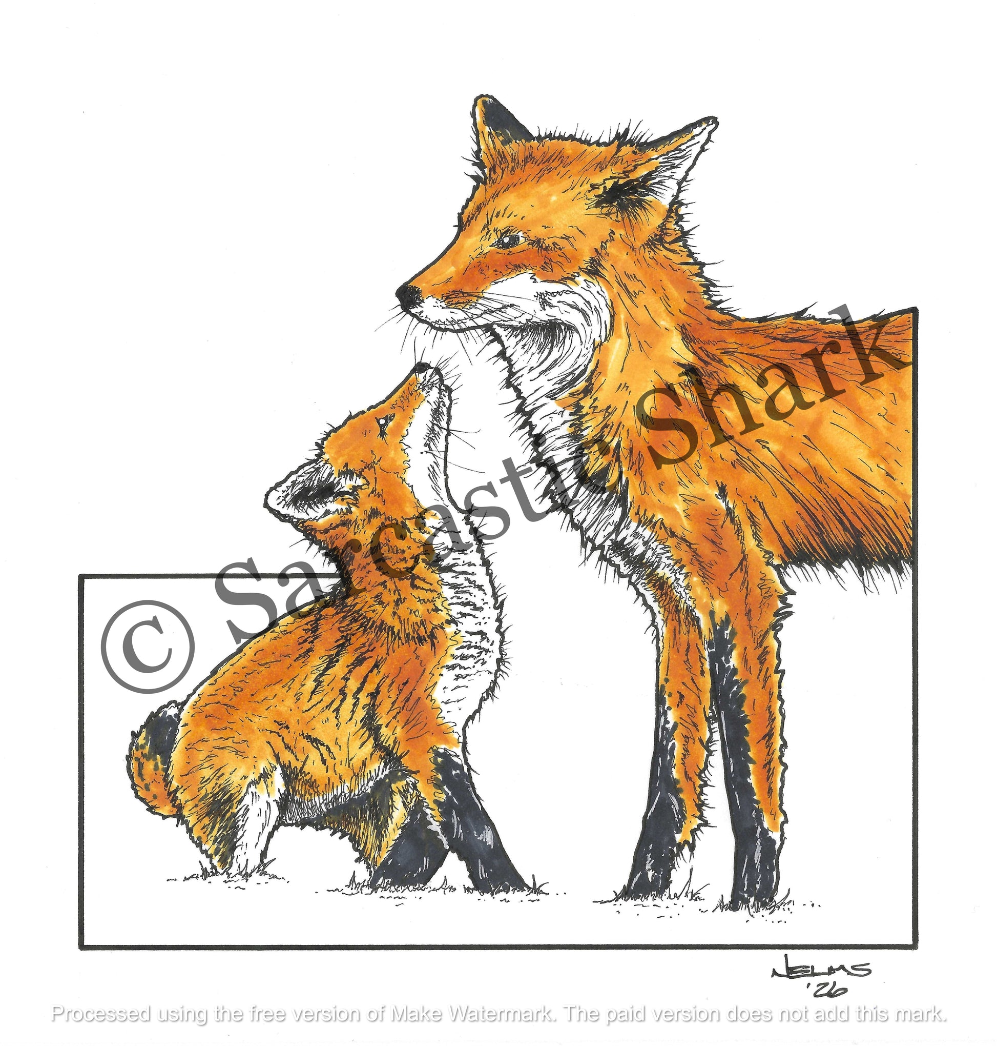 Illustration of a mother fox and her kit.
