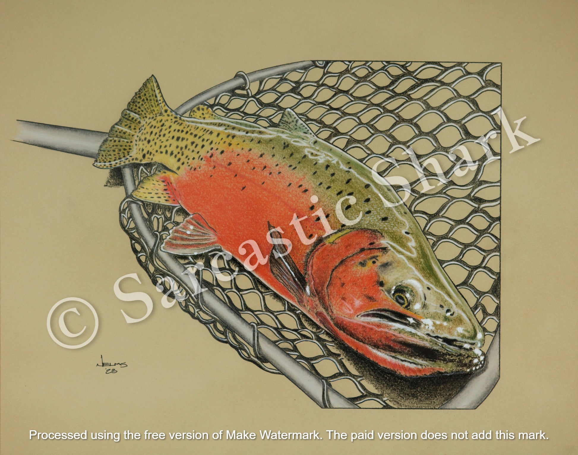 Cutthroat trout illustration in full color with fishing net in background on tan paper