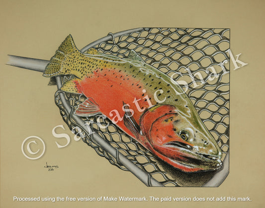 Cutthroat trout illustration in full color with fishing net in background on tan paper