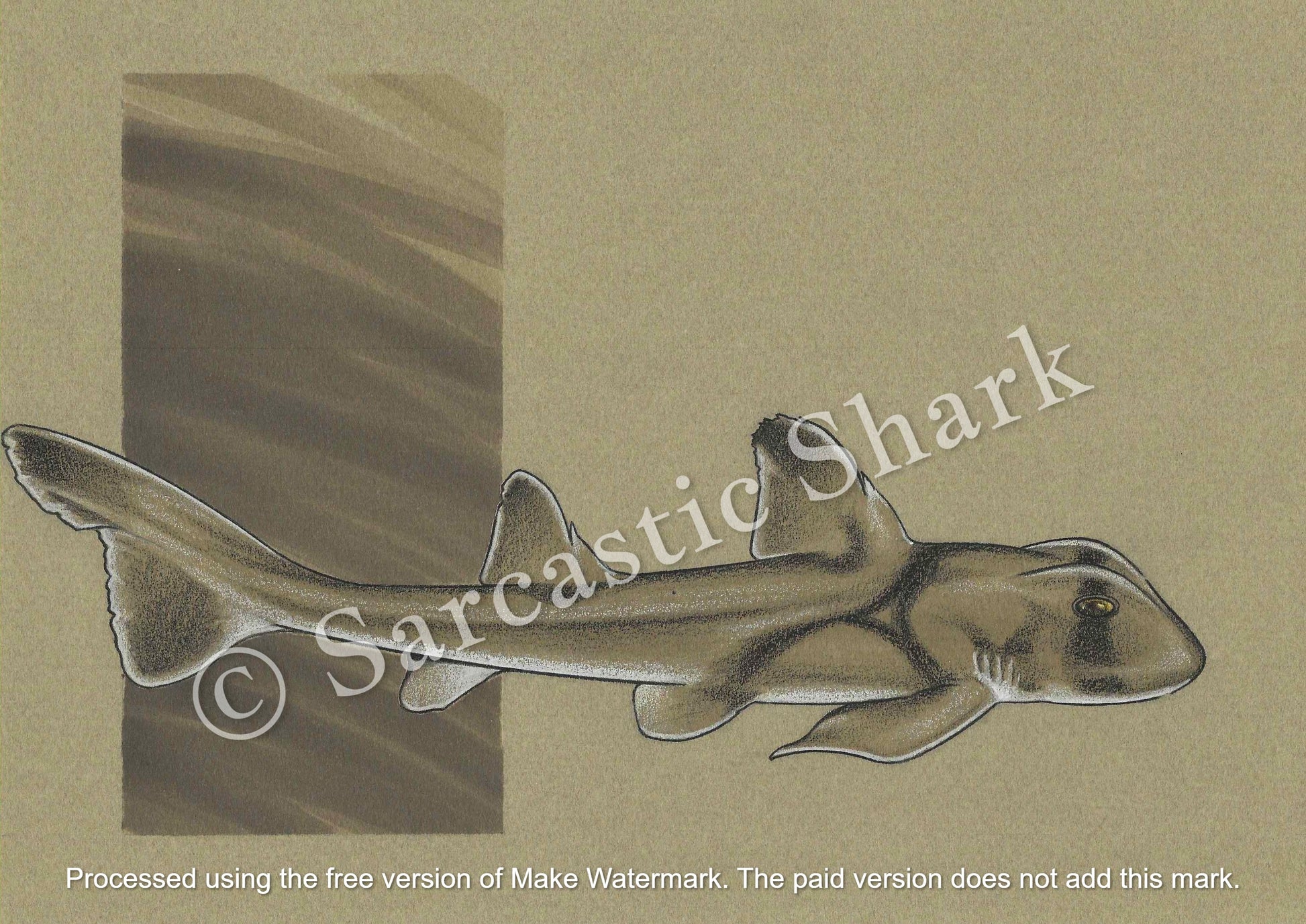 Color illustration of Port Jackson Shark swimming in front of brown graphic background on brown paper