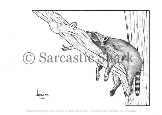 Black and white illustration of a raccoon snoozing in a tree