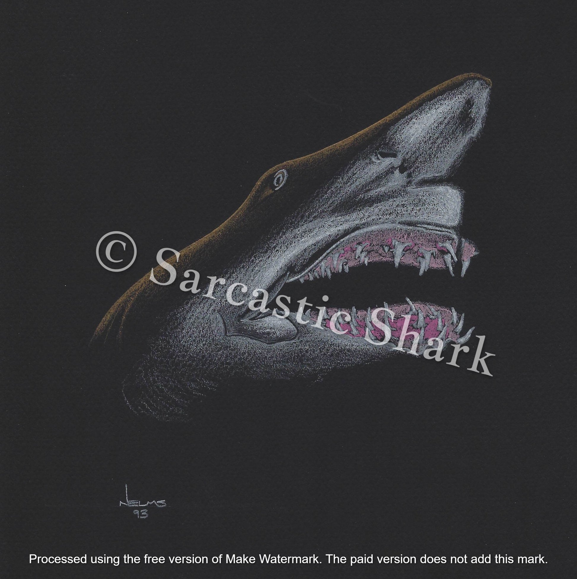 Prismacolor pencil illustration of Ragged Tooth Shark (a.k.a. Sand Tiger Shark) closeup with open jaws showing teeth on black Canson paper