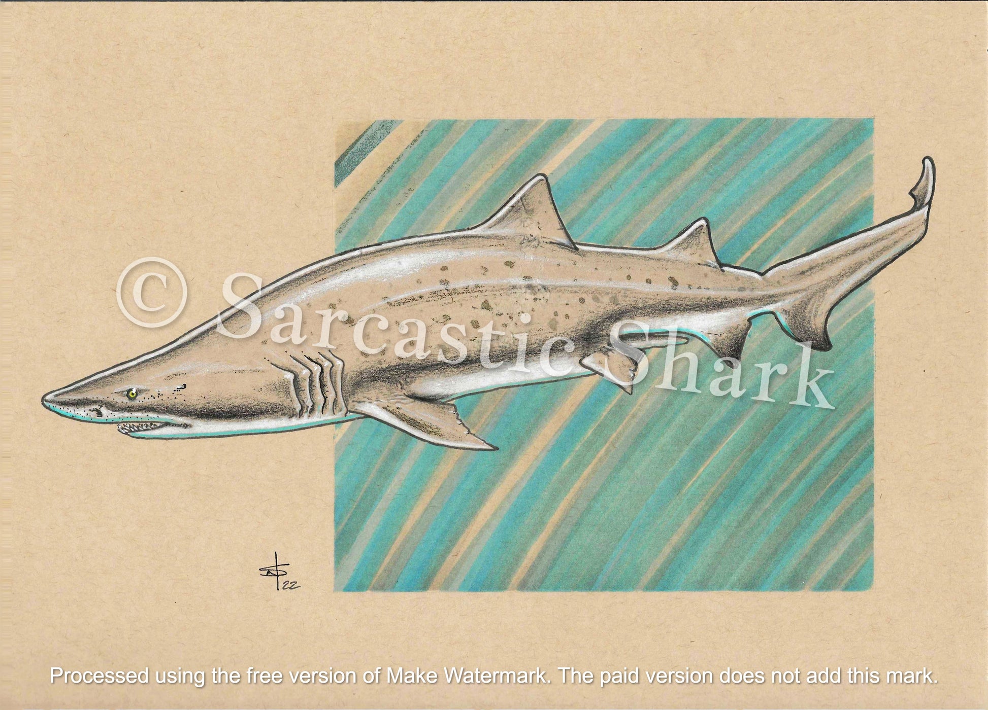 Prismacolor pencil and marker illustration of Ragged Tooth Shark (a.k.a. Sand Tiger Shark) swimming in front of a green and brown graphic background on tan Strathmore paper