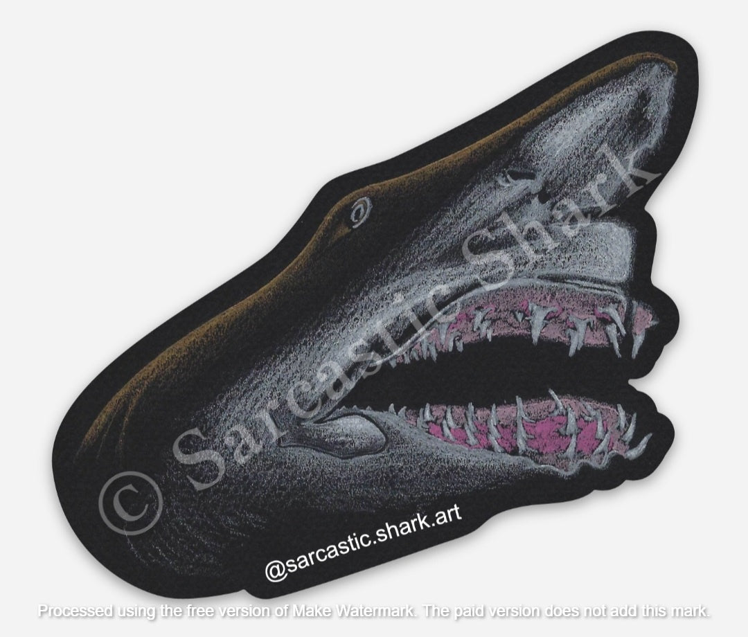 Illustrated color sticker of a Raggy Shark (a.k.a. Sand Tiger Shark) closeup with mouth open showing teeth on black background