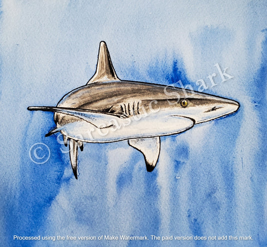 Watercolor illustration of a Reef Shark with blue abstract background on cold press paper