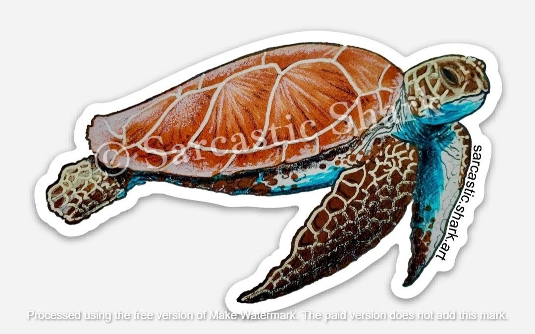 Illustrated color sticker of a Green Sea Turtle swimming