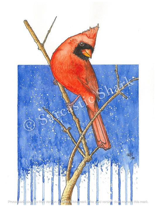 Watercolor illustration of Cardinal bird perched on branch with blue snowy winter background.