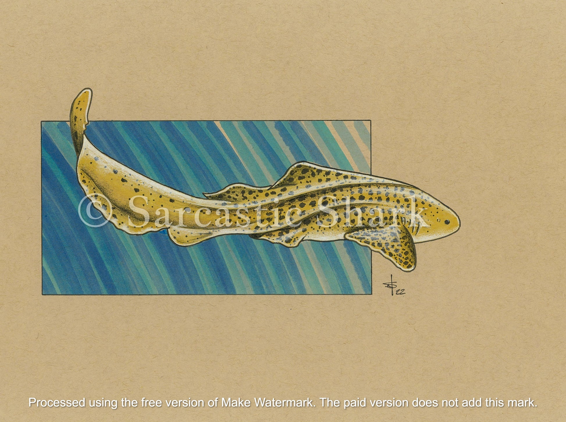 Color illustration of Zebra Shark (a.k.a. Leopard Shark) swimming in front of blue graphic background